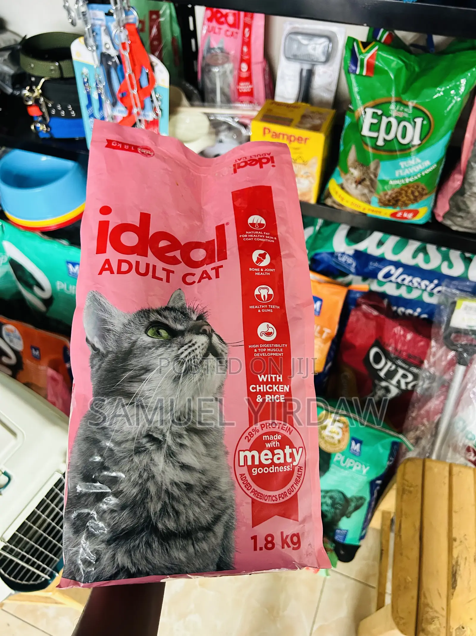 Dry Food for Cats