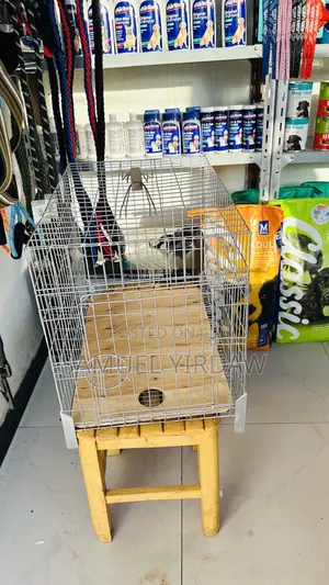 Dog and Cat Cage