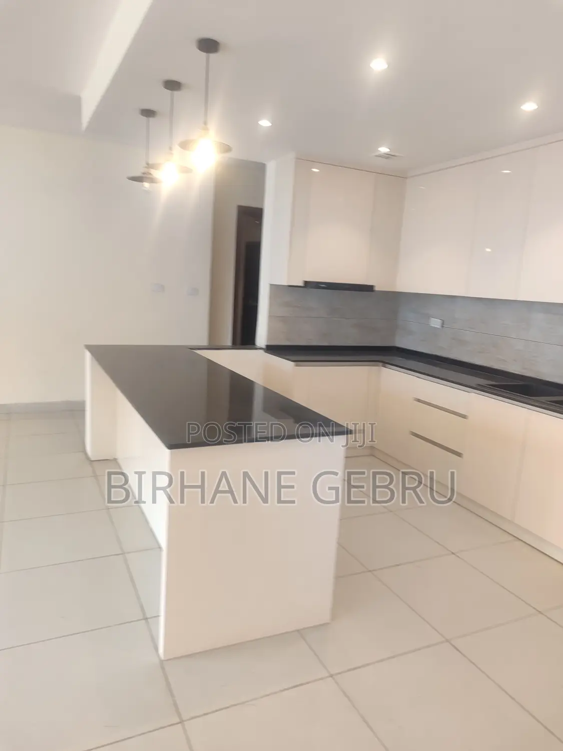 4bdrm Apartment in Luxury Apartiment, Lideta for rent
