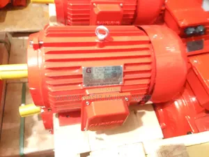Elctric Motor