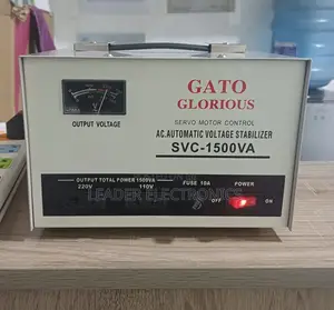 Meet Gato Glorious – The Star Everyone’S Talking About! ”