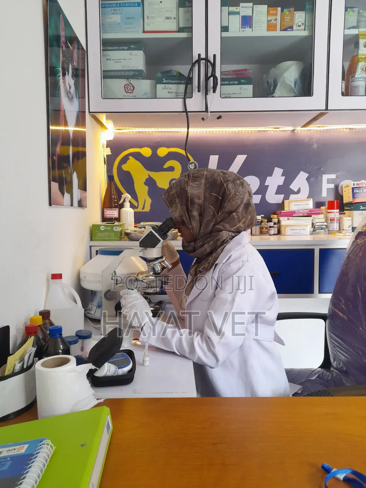 Animal Clinic