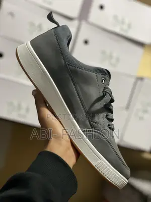Cat Original Grey Color