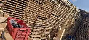 Pallet Pallet