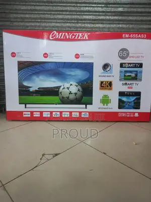 Eminigtek 65 Inch Tv