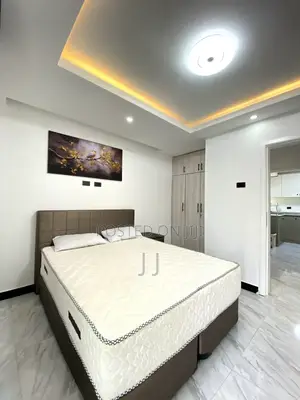 Furnished 1bdrm Apartment in Bole for rent