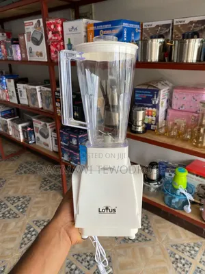 Lotus 3-in-1 Blender – Powerful Versatile!