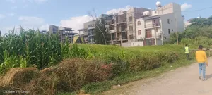 94 ካሬ በዶ ቦታ አስፓልት ግልባጭ