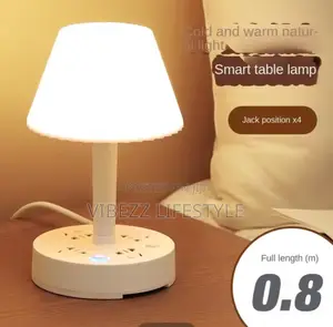 Portable Desk Lamp