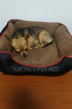 Dog/Cat Matters /ፍራሽ