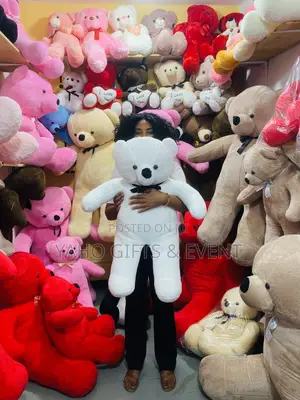 White Teddy Bear