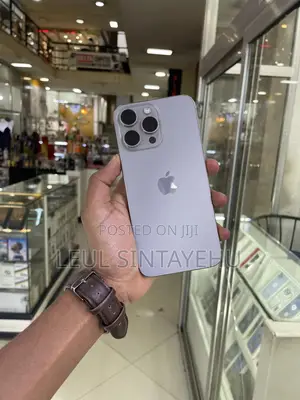 Apple iPhone 15 Pro Max 256 GB Silver