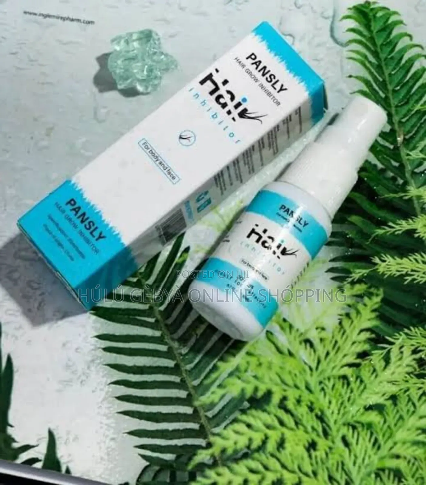 Pansly Hair Removal Spray