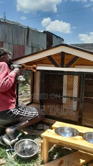 Comfortable Dog House