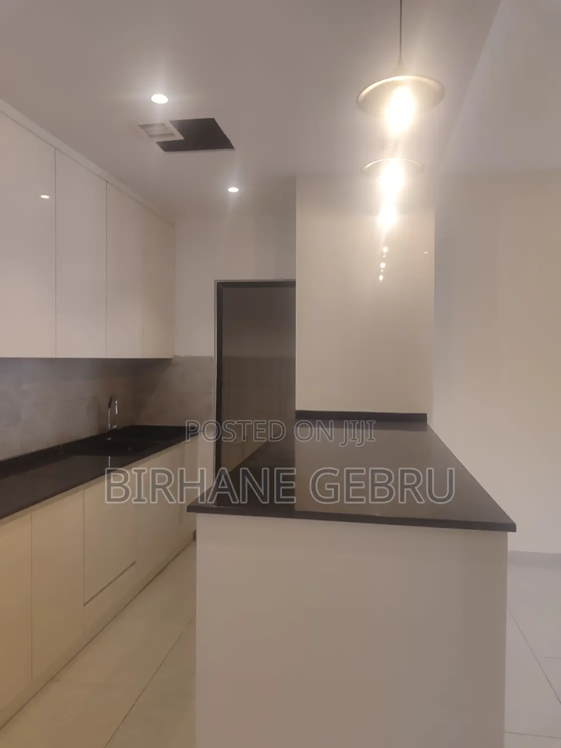 4bdrm Apartment in Luxury Apartiment, Lideta for rent
