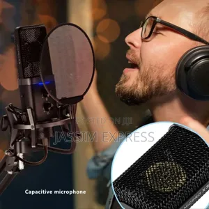 Original Yanmai Professional Cardioid Studio Microphone With Boom Arm
