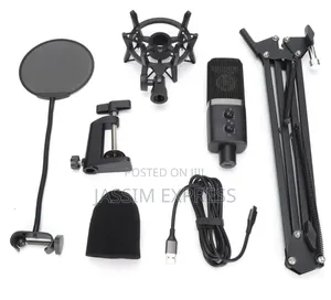 Original Yanmai Professional Cardioid Studio Microphone With Boom Arm