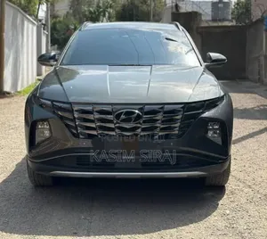 Hyundai Tucson Limited 2024 Gray