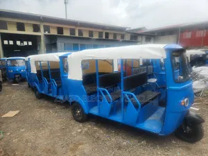 Bajaj 2024 Blue