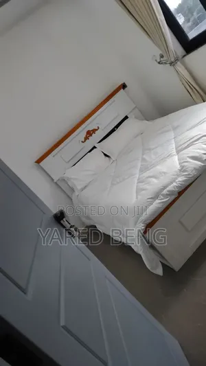 Furnished 3bdrm Apartment in Yared Beng, Lideta for sale