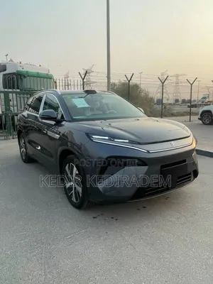 New BYD Tang DM-i 2025 Gray
