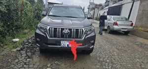 Toyota Land Cruiser 2023 Gray