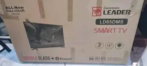Leader 65 Inch Double Glass