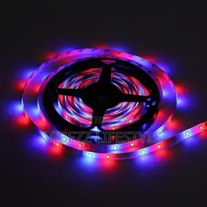 5m Led Strip Lights