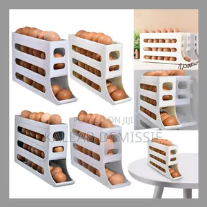 Egg Storage Box