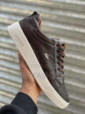 Lacoste Flat Quality Brown Shoes Size 40-45