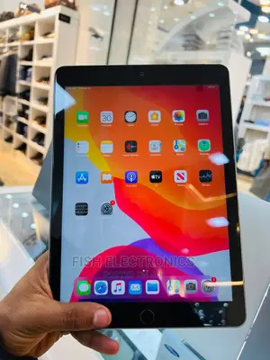 Apple iPad Wi-Fi 32 GB Gray