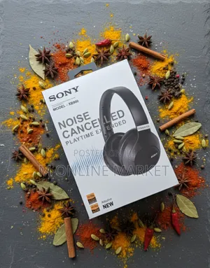 Sony 900 Lasts Longer, a Durable Companion for Years.