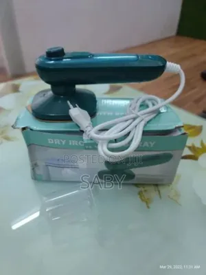 Portable Mini Steam Iron