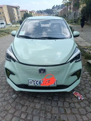Changan BenBen E-Star 2023 Green