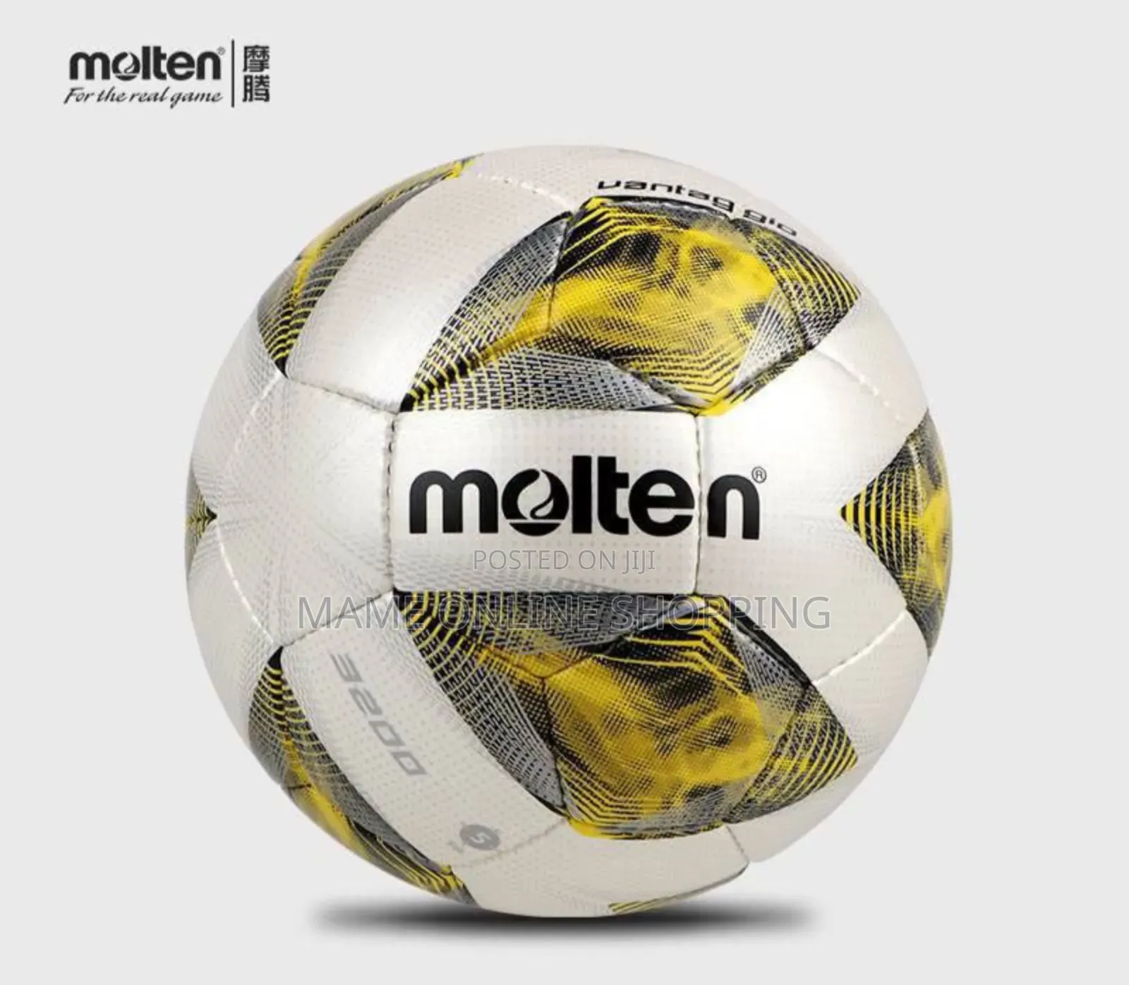 Orginal Molten Ball