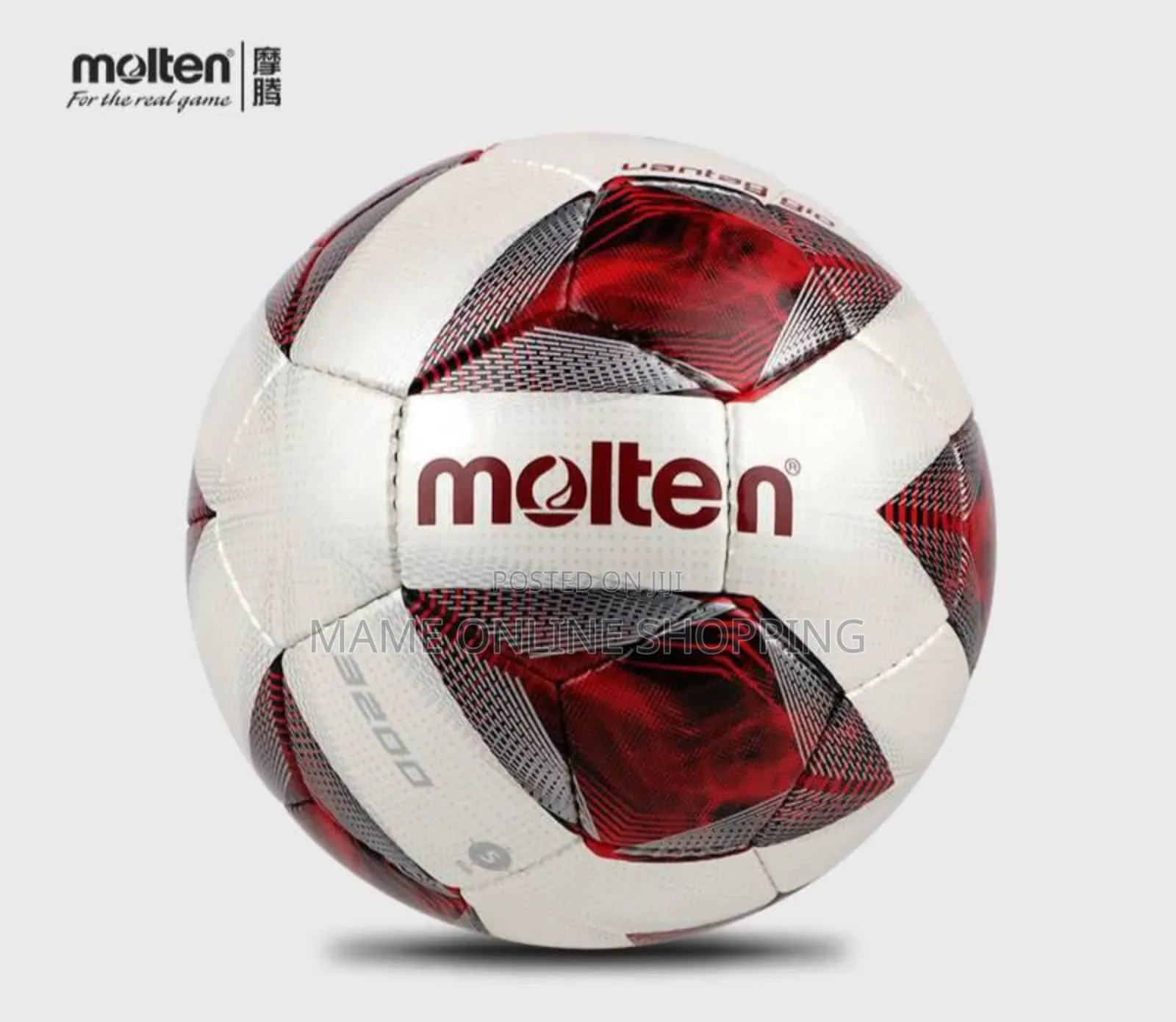 Orginal Molten Ball
