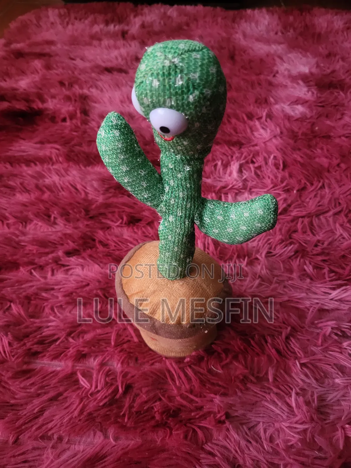 Talking Cactus 