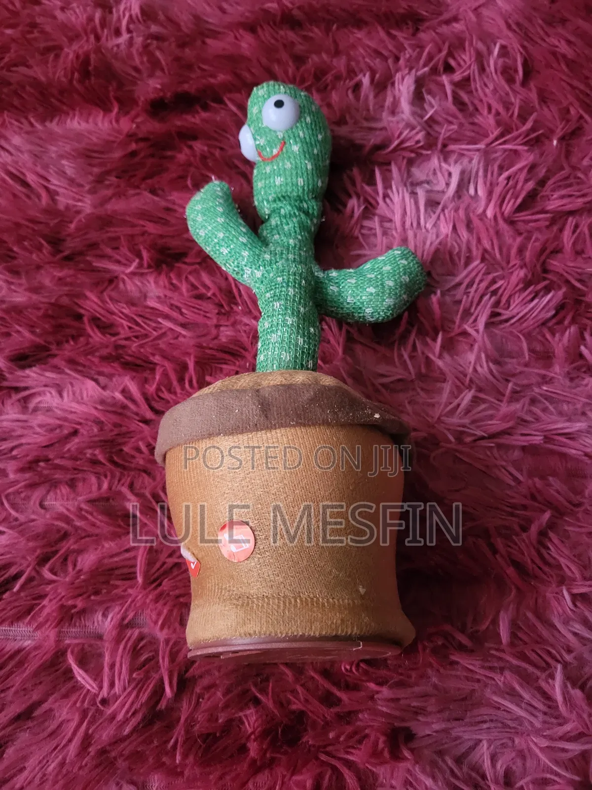 Talking Cactus 