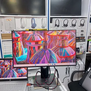 Dell 24 Inch Monitor
