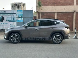 Byd E2 for Rent