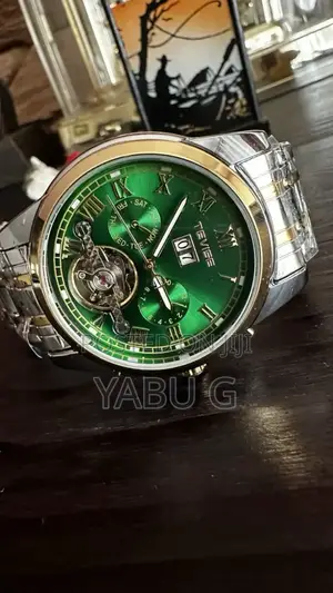 Tevise Luxury Men's Watch,Waterproof Hollow Men's Mechanical Watches