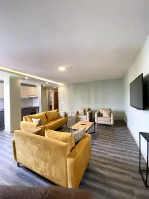 Furnished 1bdrm Apartment in Bole for rent