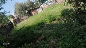 1bdrm House in Kotobe, Bole for sale