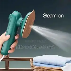 Mini Electric Iron With Spray