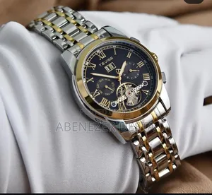 Tevise T9005 Automatic Mechanical Watch With a Two-Tone Silver