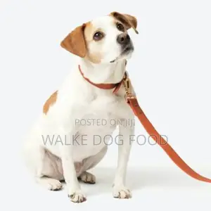 Dog Leash /የውሻ ማሰርያ