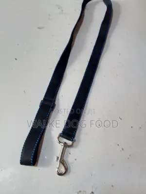 Dog Leash /የውሻ ማሰርያ