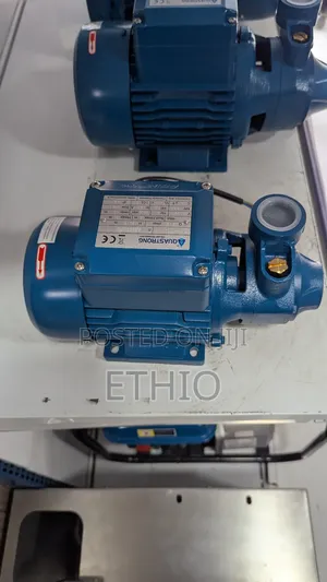 Aquastrong Water Pump