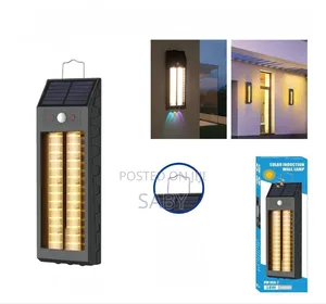 Outdoor Solar Induction Wall Light