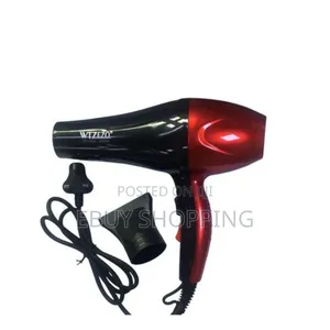 Wtzezo Wt-2024 Professional Salon Hair Dryer